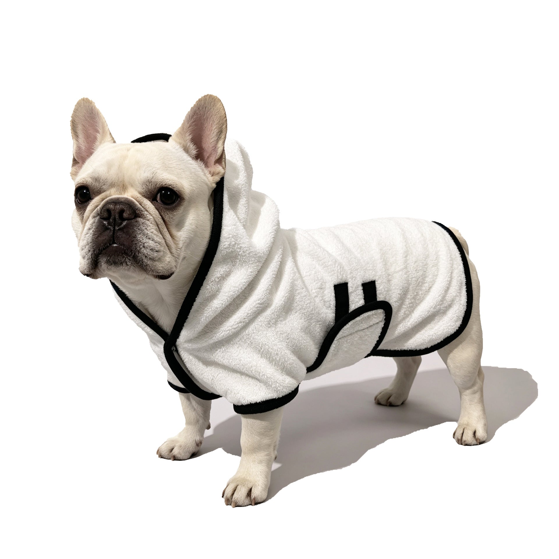 Schnauzer wearing white pet bathrobe towel in bathroom