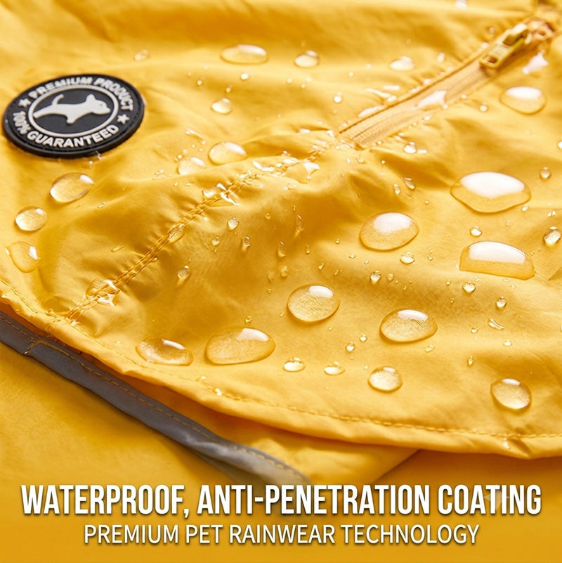 Dalmatian sitting in rain wearing yellow raincoat