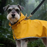 Dog Raincoat with Belly Guard & Clear TPU Visor – Waterproof Pet Rain Poncho for Small to Large Dogs