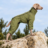 Side view of a Weimaraner wearing an army green four-leg dog jumpsuit on a rocky outdoor trail.