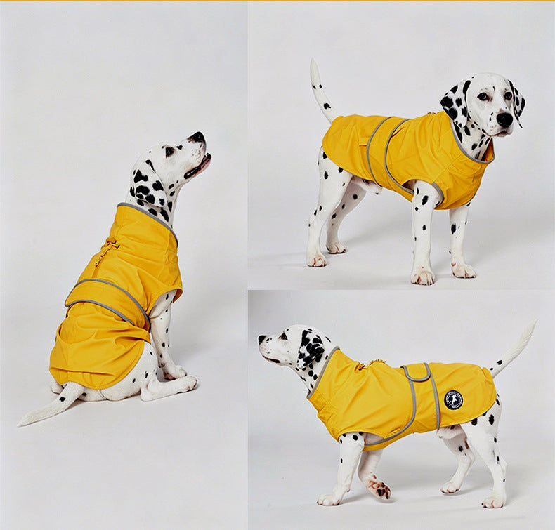 Dalmatian wearing yellow dog raincoat in forest
