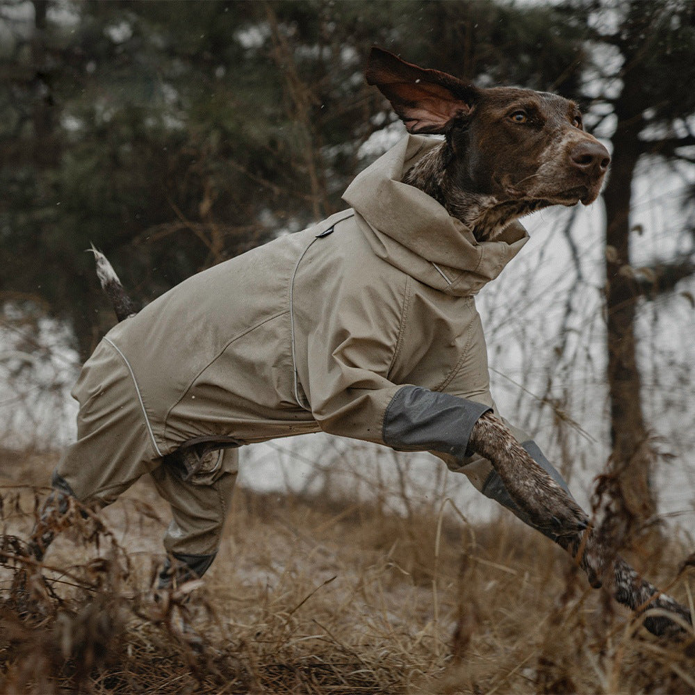 Weimaraner wearing navy blue dog raincoat standing in field