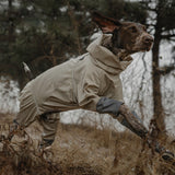 Weimaraner wearing navy blue dog raincoat standing in field