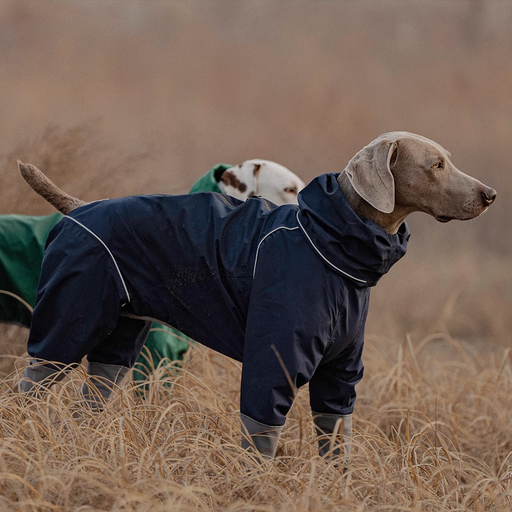 Two dogs wearing green and navy blue raincoats outdoors in field