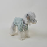 Small white dog wearing a soft blue turtleneck sweater