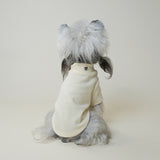 Small white dog wearing a cream turtleneck dog sweater