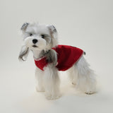 Small dog sitting and wearing cozy red fleece vest showing round collar and chest
