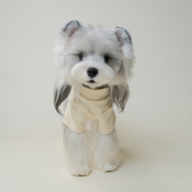 Back view of a small dog wearing a cream turtleneck sweater
