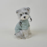 Side view of a small dog wearing a soft blue dog sweater