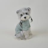 Side view of a small dog wearing a soft blue dog sweater