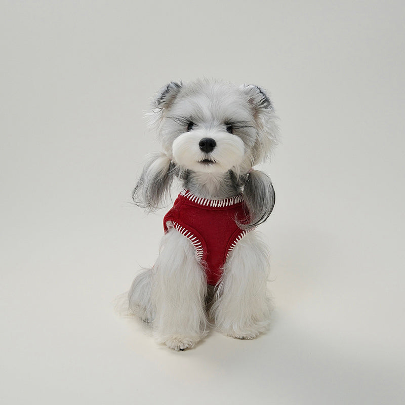 Small dog wearing red fleece warm vest sitting calmly in studio