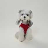 Small dog wearing red fleece warm vest sitting calmly in studio