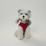 Small dog wearing red fleece warm vest sitting calmly in studio