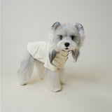 Small dog wearing a soft blue sweater