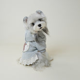 Dog Hoodie with Lace Trim – Cozy Pullover Sweater for Small Dogs