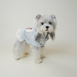 Dog Hoodie with Lace Trim – Cozy Pullover Sweater for Small Dogs