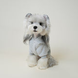 Dog Hoodie with Lace Trim – Cozy Pullover Sweater for Small Dogs