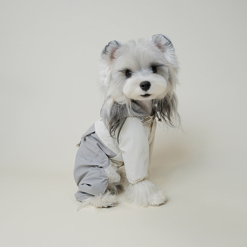 Dog wearing purple and grey four-legged outdoor windbreaker