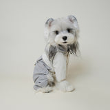 Dog wearing purple and grey four-legged outdoor windbreaker