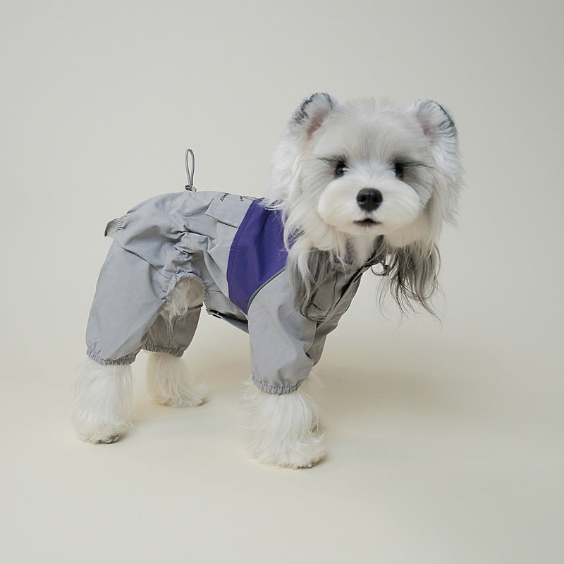 Dog wearing grey and white four-legged windbreaker sitting