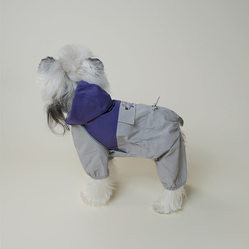 Dog wearing grey and white windbreaker side view