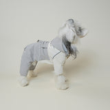 Flat lay of dog windbreaker with hood and drawstrings