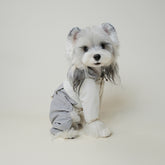 Dog wearing purple and grey windbreaker side angle