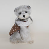 Autumn/Winter Fleece Floral Lace Dog Vest