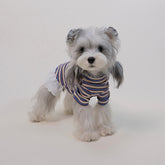 Striped Dog Turtleneck Tee with Lace Trim – Lightweight Shirt for Small Dogs