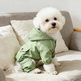 Small white dog wearing matcha green jumpsuit sitting on sofa