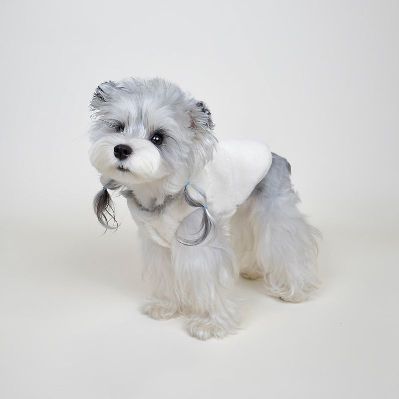 Warm Pet Coat on Schnauzer Side View