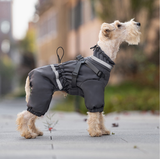 Wire-haired terrier wearing a charcoal gray insulated dog jumpsuit with built-in harness outdoors.