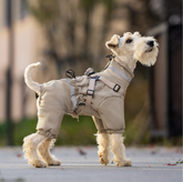 Wire-haired terrier wearing a khaki four-leg winter jumpsuit with reflective strips and built-in harness outdoors.