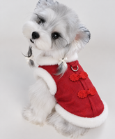 Chinese New Year Tang-Style Pet Vest – Warm Brocade Coat for Dogs & Cats