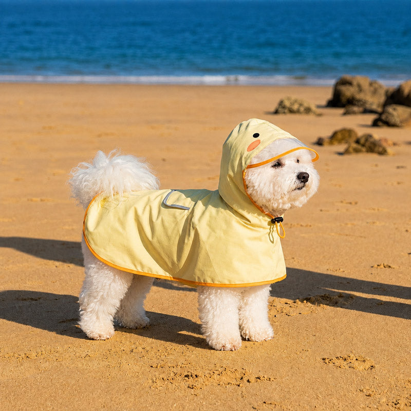 Dog wearing yellow duck poncho raincoat - side view with transparent hood
