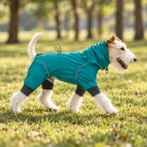 Outdoor windproof waterproof dog raincoat jumpsuit in light grey