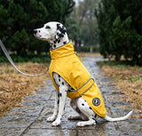 Dog raincoat waterproof anti-penetration coating close-up