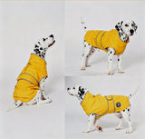 Dalmatian wearing yellow dog raincoat in forest