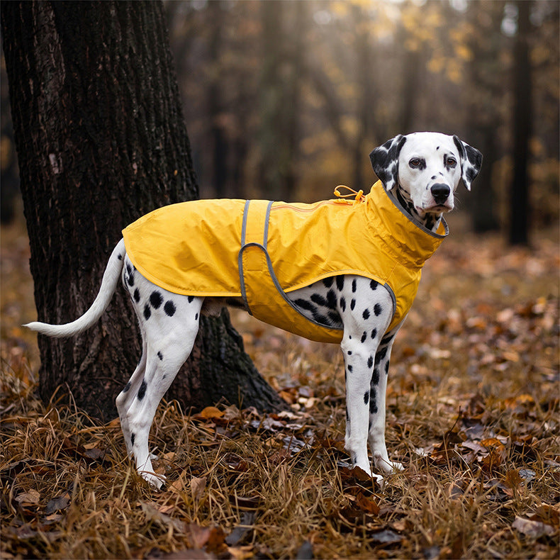 Dog raincoat multiple angles on Dalmatian