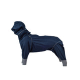 Dog wearing khaki raincoat running outdoors in the rain