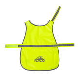 Dog wearing reflective safety vest at night with glowing strips