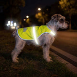 Fluorescent yellow dog reflective safety vest flat lay