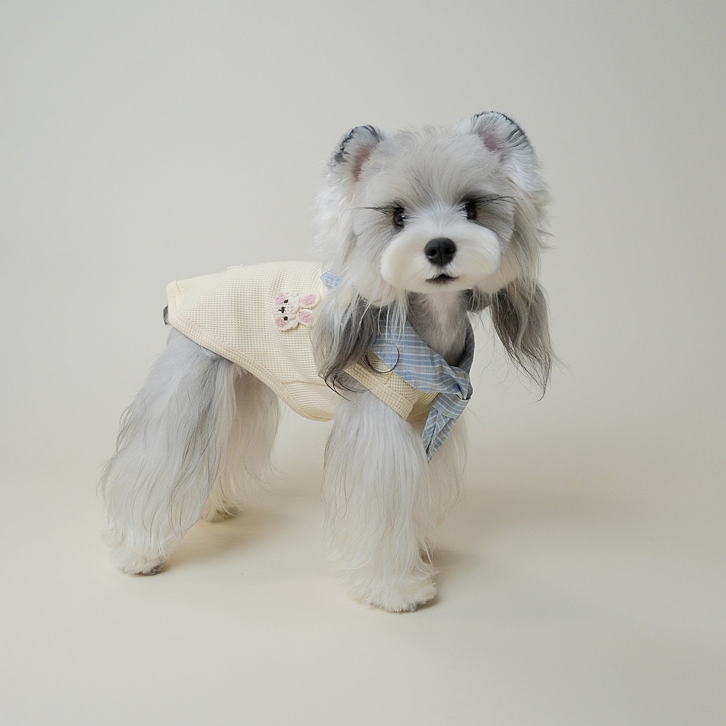 Cream waffle-knit dog vest with blue plaid bandana collar and bunny patch, flat lay