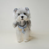 Schnauzer wearing cream dog vest with blue striped bandana, front view