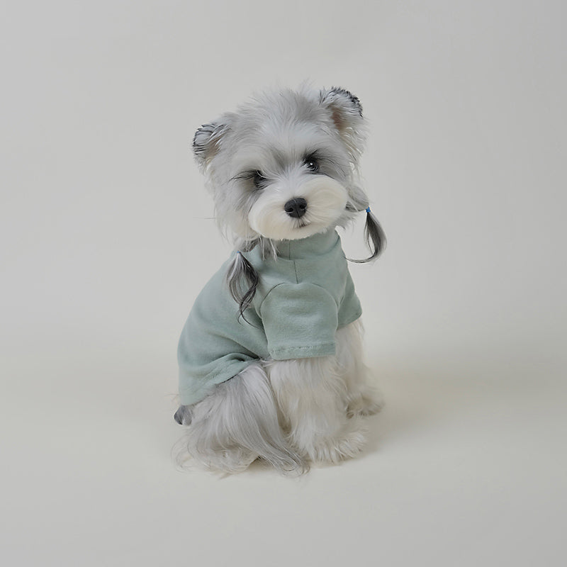 Side view of a small dog wearing a soft blue dog sweater