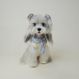 Small dog sitting in cream knit vest with blue bandana collar