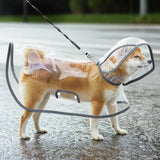 Transparent brim hood with clear sightline