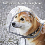 Transparent dog raincoat full body view in rain