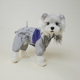 Dog wearing grey and white four-legged windbreaker sitting