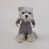 Striped Dog Turtleneck Tee with Lace Trim – Lightweight Shirt for Small Dogs